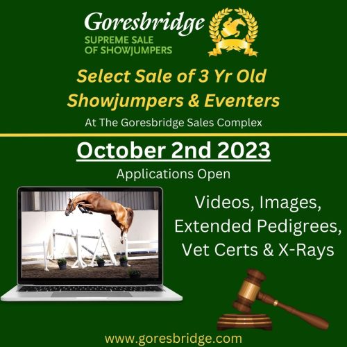 Select Sale of Showjumpers & Eventers